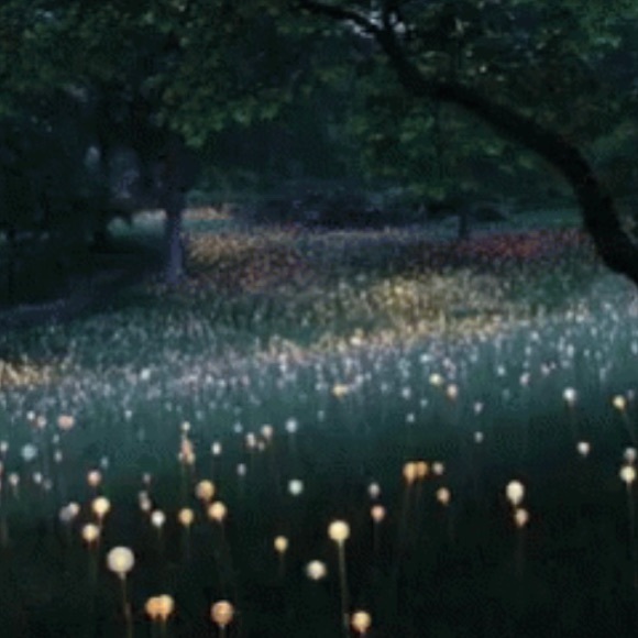 Meet your Posher - Picture 7 of 16